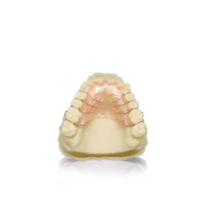 image_d068d4f7-e65e-4091-9dd7-6b42b4cae1cf